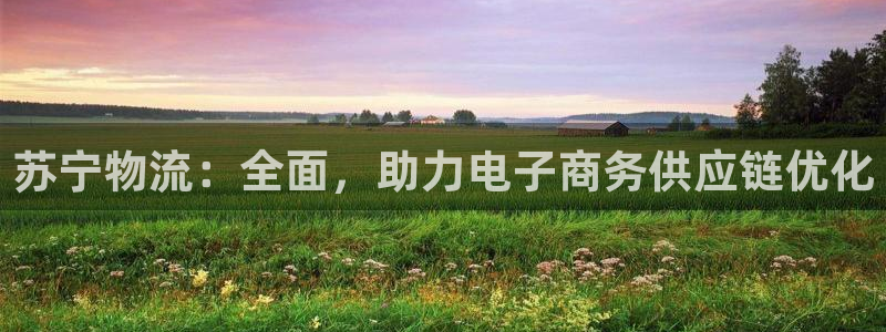 28圈绿骨头：苏宁物流：全面，助力电