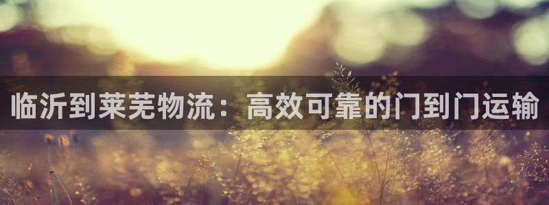 28圈注册链接入口：临沂到莱芜物流：