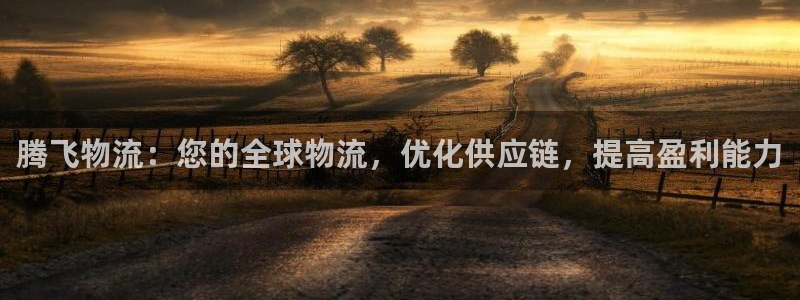 28圈官方：腾飞物流：您的全球物流，