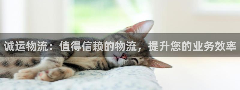 28圈注册网站链接：诚运物流：值得信