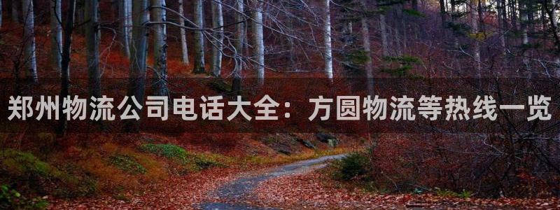 28圈代理落网：郑州物流公司电话大全