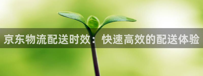 28圈ccm官网版：京东物流配送时效