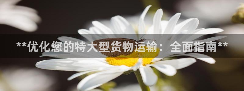28圈注册号：**优化您的特大型货物