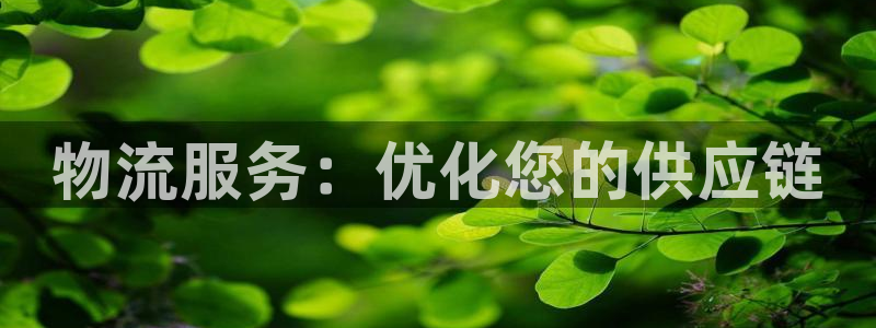 28圈pg如何退钱：物流服务：优化您