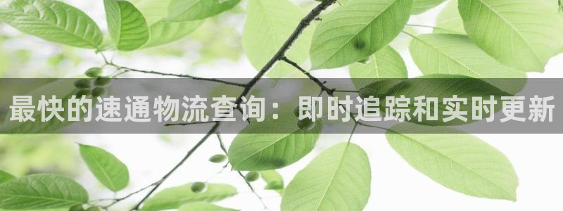 28圈模拟器下载：最快的速通物流查询