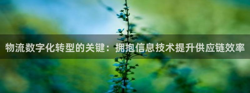 28圈平台注册：物流数字化转型的关键