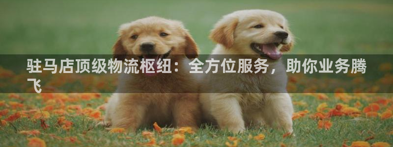 28圈官方网站预测：驻马店顶级物流枢