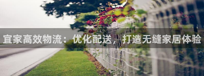 28圈app怎么注册账号：宜家高效物