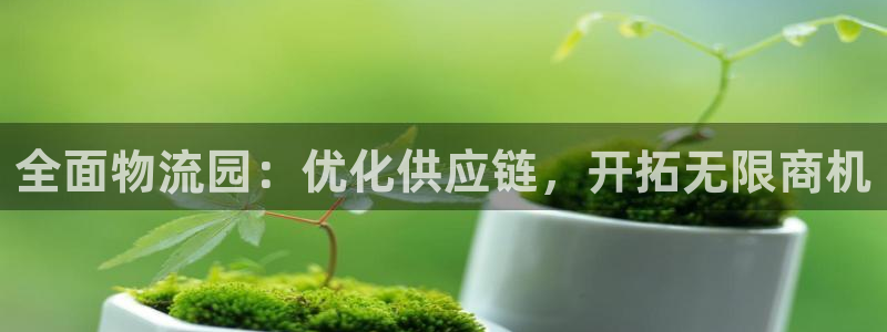28圈麻将