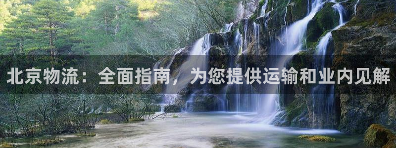 28圈官方官网：北京物流：全面指南，
