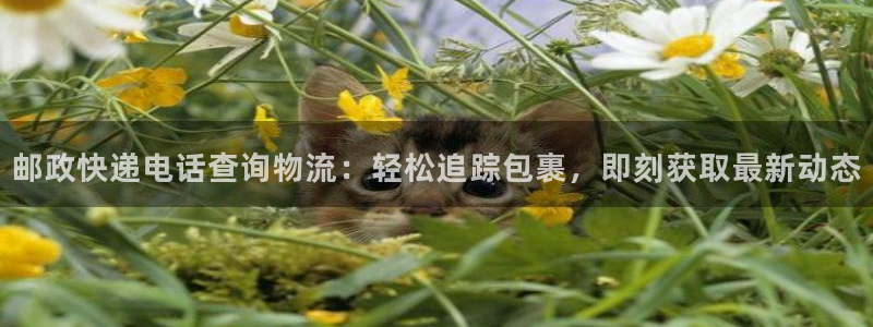 28圈登录用户名登录不上：邮政快递电