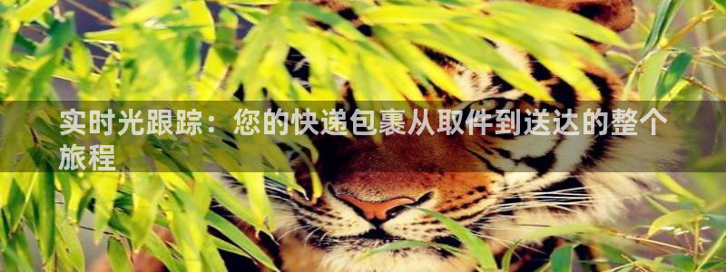 28圈.ccmpc是诈骗吗?：实时光