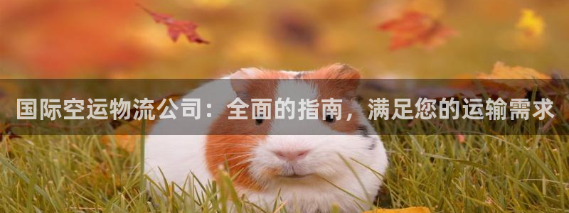 28圈为什么没有赢过一次：国际空运物
