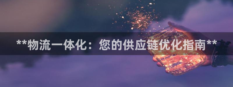 28圈反水：**物流一体化：您的供应