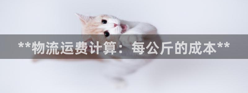 28圈软件：**物流运费计算：每公斤