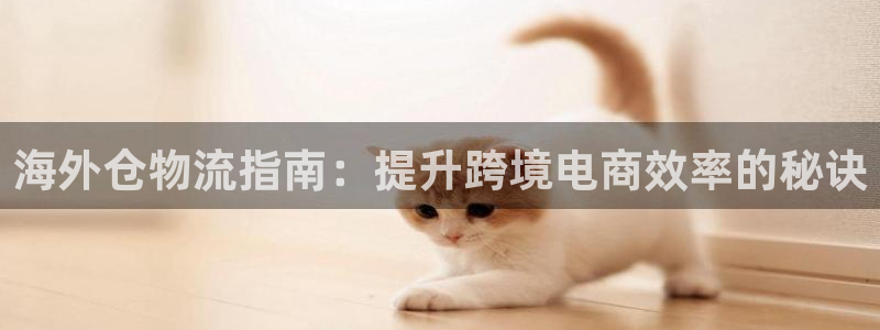 28圈pg如何退钱：海外仓物流指南：
