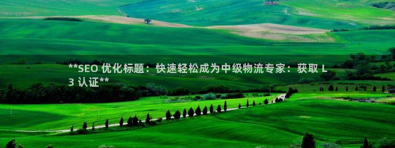 28圈推广链接是多少：**SEO 优