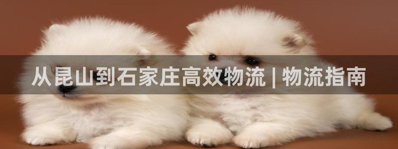 28圈是干嘛的：从昆山到石家庄高效物
