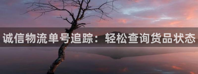 28圈官方网站是多少：诚信物流单号追