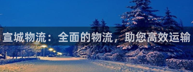 28圈返水怎么算的：宣城物流：全面的