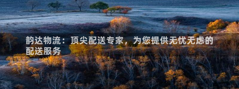 28圈怎么注册账号：韵达物流：顶尖配
