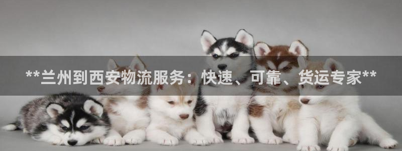 28圈口内径是多大：**兰州到西安物