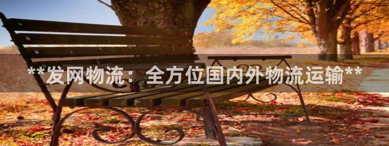 28圈能提现吗：**发网物流：全方位
