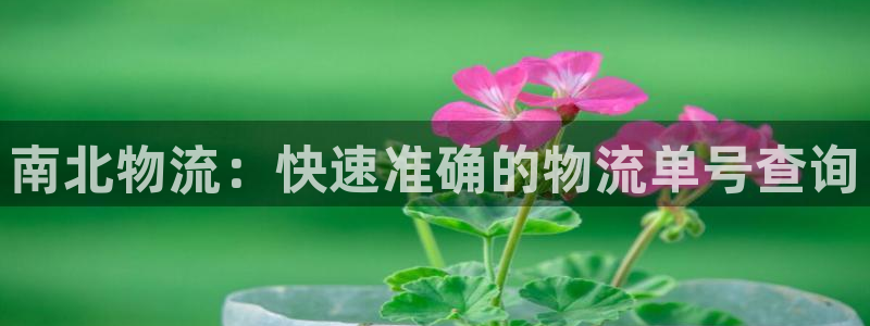 28圈注册二维码：南北物流：快速准确