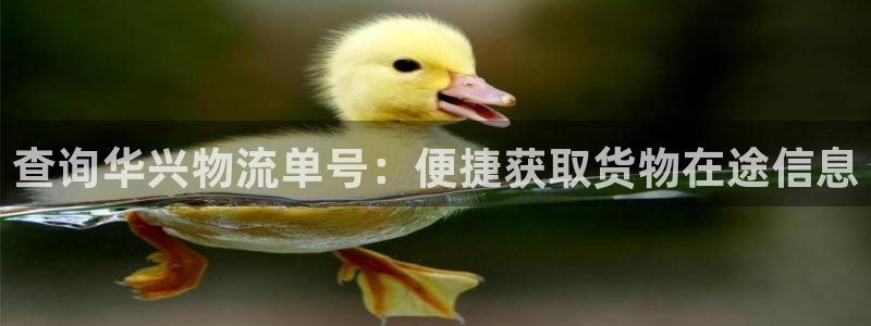 28圈注册号：查询华兴物流单号：便捷