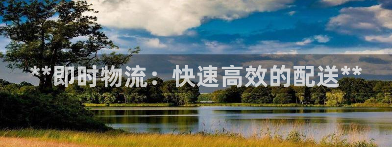 28圈选28ng官网：**即时物流：