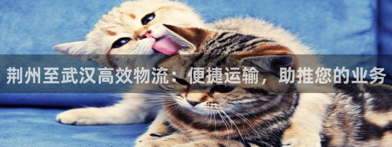 28圈模拟器下载：荆州至武汉高效物流
