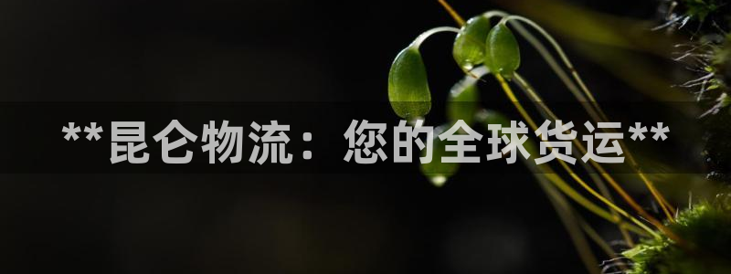 28圈加拿大下载