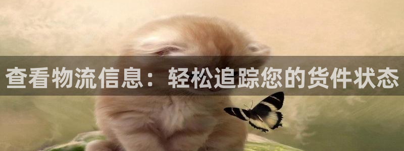 28圈充值不到账