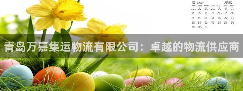 28圈APP是干什么的：青岛万嘉集运