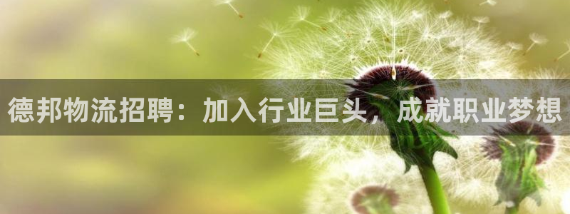 南宫28圈官网版：德邦物流招聘：加入