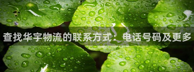 28圈模拟：查找华宇物流的联系方式：