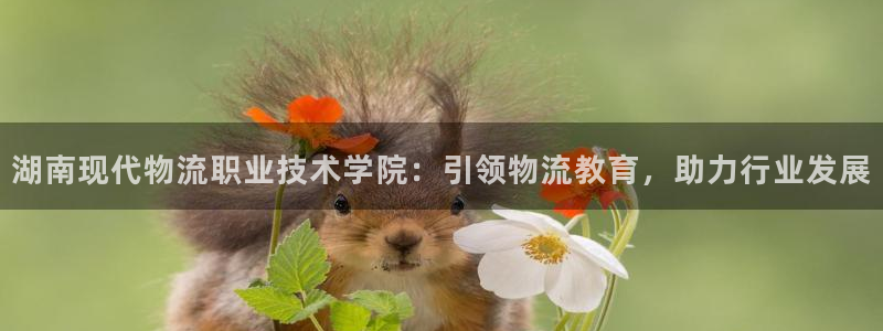 28圈激活码