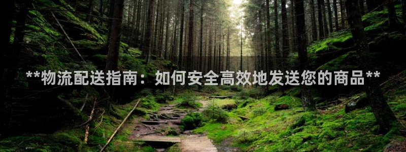 28圈自行车图片：**物流配送指南：