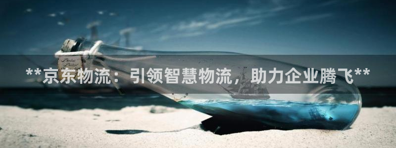 28圈：**京东物流：引领智慧物流，