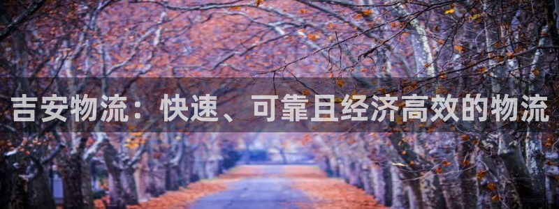 28圈注册号：吉安物流：快速、可靠且