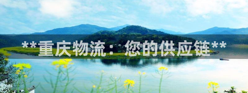 28圈加拿大技巧：**重庆物流：您的