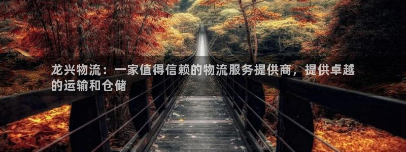 28圈正规吗?：龙兴物流：一家值得信