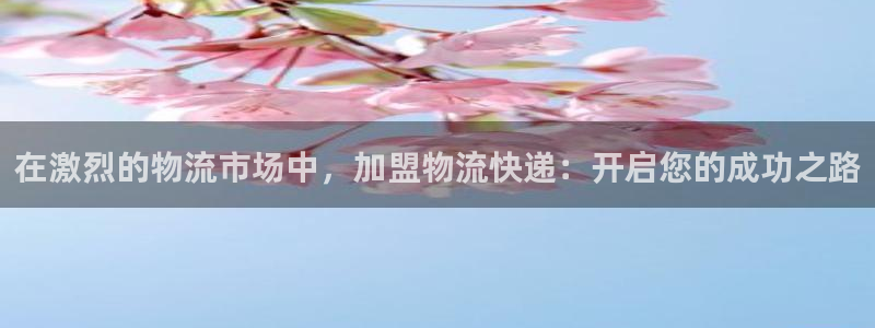 28圈代理落网