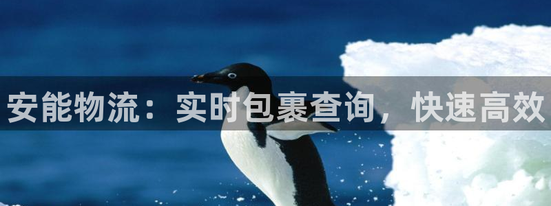 28圈加拿大怎么玩