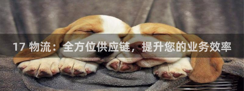 28圈登录网：17 物流：全方位供应