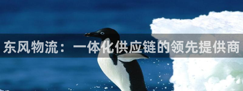 28圈官方：东风物流：一体化供应链的