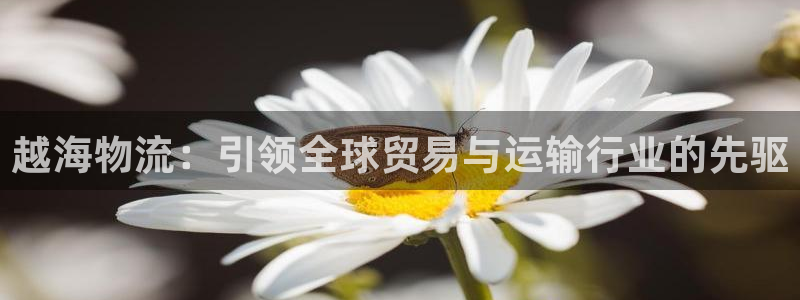 28圈游戏官网入口：越海物流：引领全