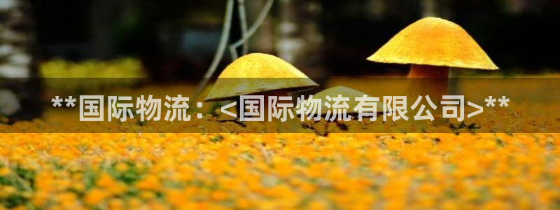28圈大舞台：**国际物流：<国际物