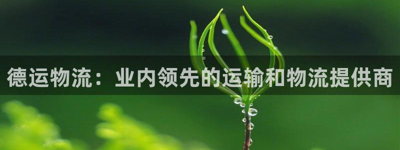 28圈app赢了500万：德运物流：