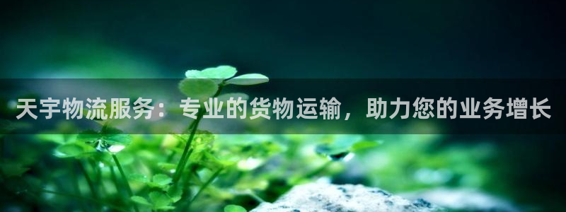 28圈加拿大真假怎么看：天宇物流服务
